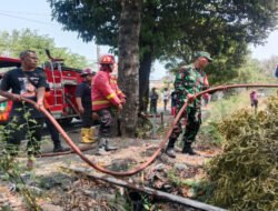 Sigap! Babinsa Karangasem Bersama Warga dan Damkar Padamkan Api di Lahan Kosong