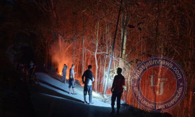 2 Hektar Lahan Jati Di Tegalombo Pacitan Terbakar, TNI Polri BPBD Padamkan Dalam Waktu 4 Jam