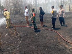 Kebakaran Lahan Jati dan Sawah di Mojopurno Berhasil Dipadamkan, Babinsa Bersama Petugas dan Warga Sigap Lakukan Penanganan