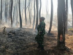 Babinsa Kendal dan Warga Bahu-Membahu Padamkan Kebakaran Hutan di Lereng Lawu Utara
