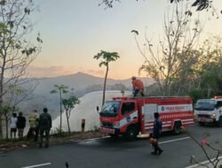 Sinergi TNI Polri dan Damkar Padamkan Kebakaran Hutan Jati Seluas 5 Hektar Dalam Waktu 1 Jam