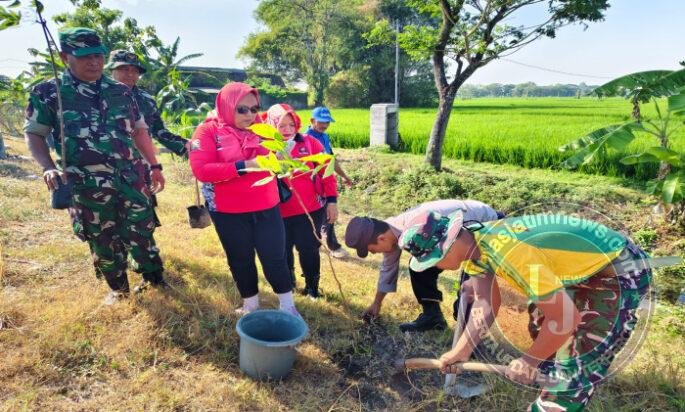 Sambut HUT ke-81 TNI, Kodim 0805/Ngawi Gelar Karya Bakti Penanaman Pohon