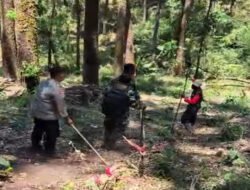 Kebakaran Hutan Pinus di Kendal Ngawi, 9 HA Lahan Terbakar, Babinsa, relawan, dan Masyarakat putus jangkauan Api