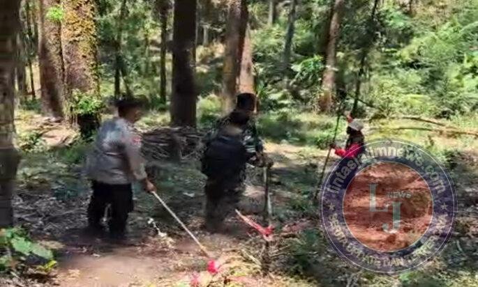 Kebakaran Hutan Pinus di Kendal Ngawi, 9 HA Lahan Terbakar, Babinsa, relawan, dan Masyarakat putus jangkauan Api