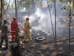 Babinsa dan Damkar Gerak Cepat Padamkan Kebakaran Lahan Jati di Dolopo