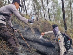 Tembus Ketinggian 1.800 MDPL, Tim Gabungan Polres Blitar Jinakkan Api di Gunung Buthak