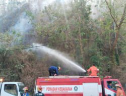 Gerak Cepat TNI Polri dan Damkar Padamkan Kebakaran 5 Hektar Hutan Rakyat di Desa Tambakrejo Pacitan