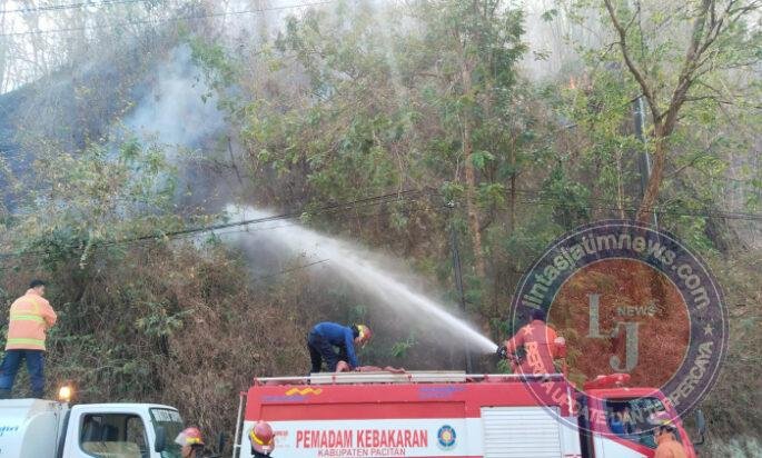 Gerak Cepat TNI Polri dan Damkar Padamkan Kebakaran 5 Hektar Hutan Rakyat di Desa Tambakrejo Pacitan