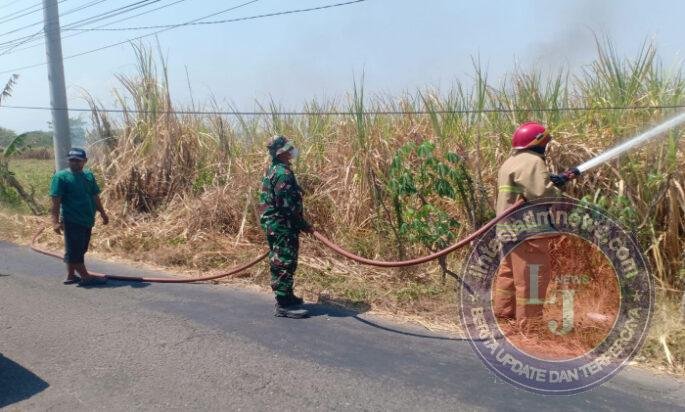 Babinsa dan Warga Berjibaku Padamkan Kebakaran Kebun Tebu di Sambirejo