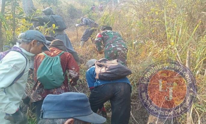 Babinsa Jogorogo dan Warga Buat Ilaran, Cegah Kebakaran Hutan Meluas di RPH Manyul