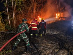 Lalai Mengawasi Pembakaran Sampah, Lahan Bambu Warga Balerejo Terbakar