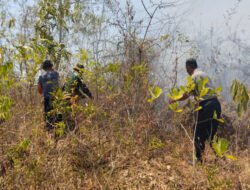 Hutan di Gunung Sadranan Kecamatan Slahung Terbakar, Babinsa Broto Bersama Komponen masyarakat Sigap Padamkan Api