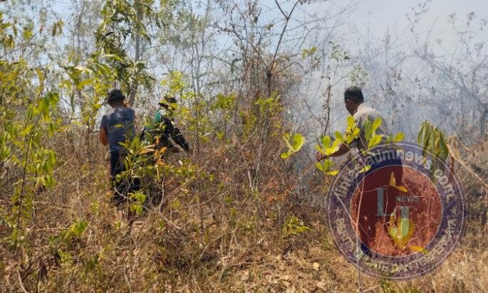 Hutan di Gunung Sadranan Kecamatan Slahung Terbakar, Babinsa Broto Bersama Komponen masyarakat Sigap Padamkan Api
