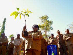 Dukung Gerakan Indonesia ASRI,  Ribka Haluk Ajak Pemda dan Masyarakat NTT Tanam Pohon