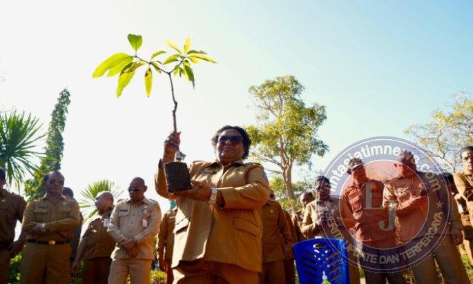 Dukung Gerakan Indonesia ASRI,  Ribka Haluk Ajak Pemda dan Masyarakat NTT Tanam Pohon