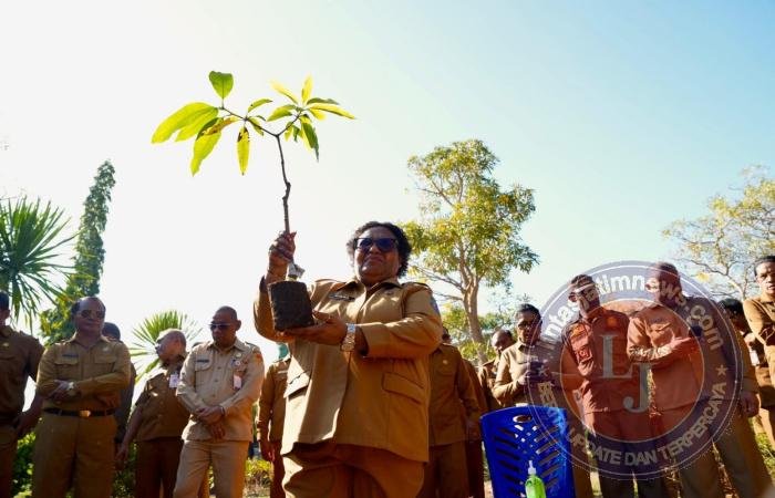 Dukung Gerakan Indonesia ASRI,  Ribka Haluk Ajak Pemda dan Masyarakat NTT Tanam Pohon