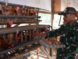 Kompi Produksi, Upaya Kodim Ponorogo Perkuat Ketahahan wilayah Melaui Sektor Pangan