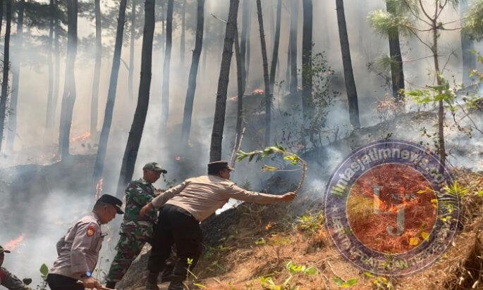 Polres Ponorogo dan Tim Gabungan Tembus Medan Curam Lereng Gunung Limas Padamkan Api Karhutla