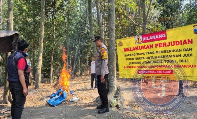 Respon Cepat Aduan Masyarakat, Polres Kediri Bongkar Arena Sabung Ayam di Plosorejo