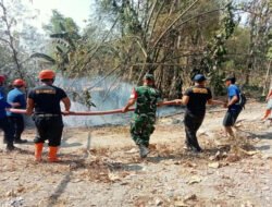 Sigap, Babinsa Karangjati dan Petugas Gabungan Atasi Kebakaran Rumpun Bambu Dekat Permukiman Warga