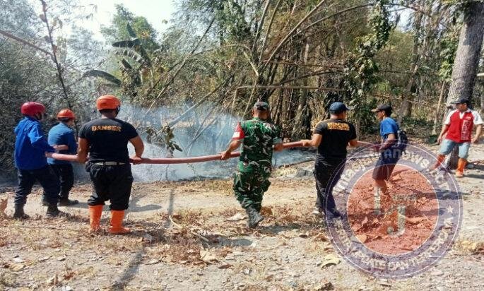 Sigap, Babinsa Karangjati dan Petugas Gabungan Atasi Kebakaran Rumpun Bambu Dekat Permukiman Warga