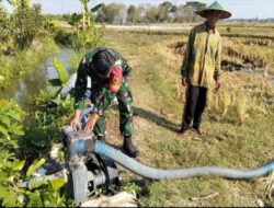 Pastikan Sawah Tetap Terairi, Babinsa Purworejo Dampingi Petani Jalankan Pompanisasi