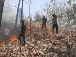 Karhutla di Desa Binaan Cepat Padam Berkat Kebersamaan Babinsa dan Unsur Terkait
