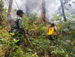 Kebakaran Lahan Pinus di RPH Salam Ngawi, Petugas dan Warga Berjibaku Cegah Api Meluas