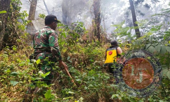Kebakaran Lahan Pinus di RPH Salam Ngawi, Petugas dan Warga Berjibaku Cegah Api Meluas
