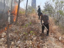 Respons Cepat Polres Ponorogo dan Tim Gabungan Berhasil Jinakkan Karhutla di Sampung