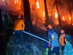 Anggota Koramil Sine dan Petugas Gabungan Padamkan Kebakaran Hutan di Lereng Lawu Utara