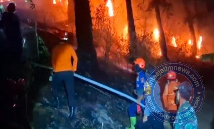 Anggota Koramil Sine dan Petugas Gabungan Padamkan Kebakaran Hutan di Lereng Lawu Utara