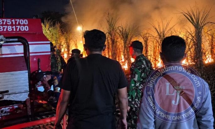 Api Membesar di Kebun Jati Basekan, Petugas dan Warga Bergerak Cepat