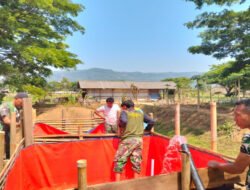 Siapkan Kompi Produksi, Kodim 0801/Pacitan Garap Lahan Pertanian dan Perikanan