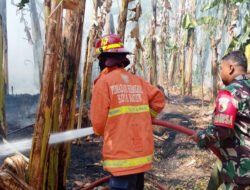 Api Pembakaran Sampah Merambat ke Rumpun Bambu di Josenan, Petugas Bergerak Cepat