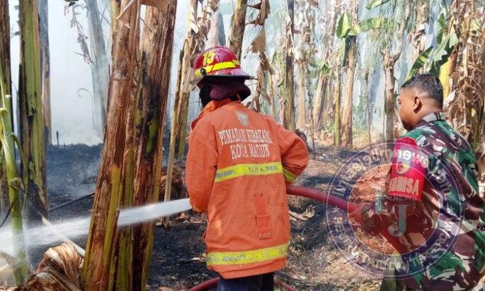 Api Pembakaran Sampah Merambat ke Rumpun Bambu di Josenan, Petugas Bergerak Cepat