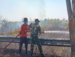 Api Lahap Lahan Tebu di Patihan, Petugas Bergerak Cepat Cegah Kebakaran Meluas