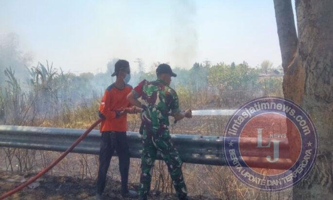 Api Lahap Lahan Tebu di Patihan, Petugas Bergerak Cepat Cegah Kebakaran Meluas