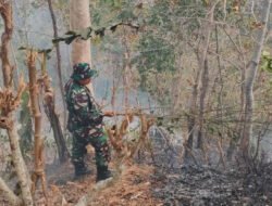 Kebakaran Hutan Seluas 1 Hektare Terjadi di Desa Nogosari Ngadirojo, Tidak Ada Korban Jiwa