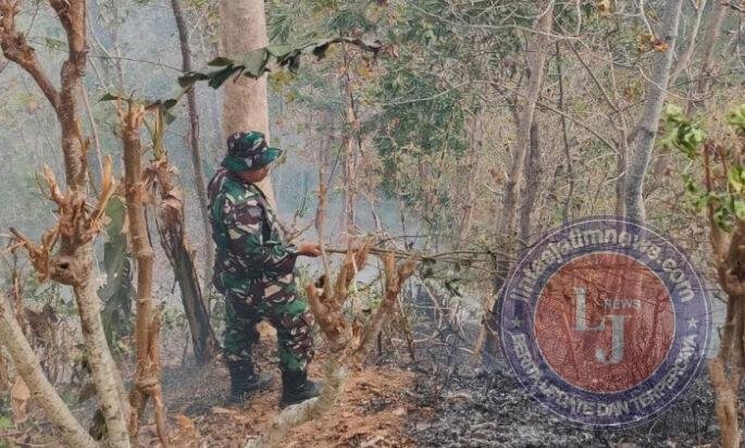 Kebakaran Hutan Seluas 1 Hektare Terjadi di Desa Nogosari Ngadirojo, Tidak Ada Korban Jiwa