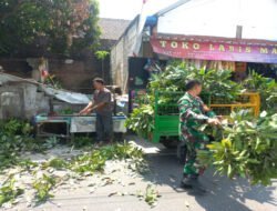 Cegah Bahaya Musim Hujan, Babinsa Banyuanyar & Satlinmas Gotong Royong Pangkas Ranting Pohon Mangga