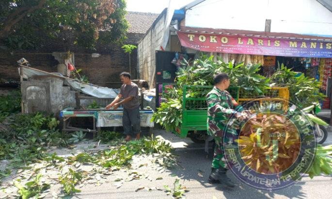 Cegah Bahaya Musim Hujan, Babinsa Banyuanyar & Satlinmas Gotong Royong Pangkas Ranting Pohon Mangga