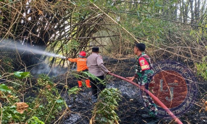 Angin Kencang Bikin Api Cepat Menjalar, Babinsa dan Damkar Padamkan Kebakaran di Metesih