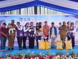 Perkuat Peran Posyandu pada Enam Bidang SPM, TP Posyandu Pusat Beri Asistensi di Sorong