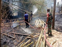 Berkat Kerjasama dan Gotong Royong, Kebakaran Rumpun Bambu di Wilayah Desa Binaan Dipadamkan Babinsa dan Unsur Terkait