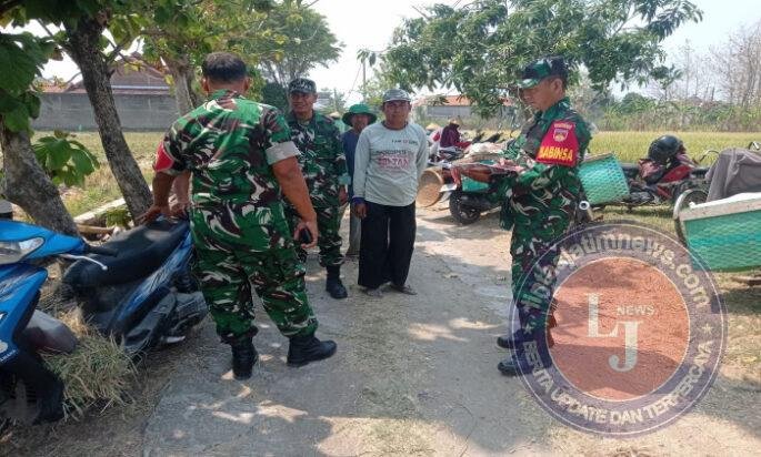 Ketahanan Pangan Jadi Perhatian, Babinsa Ngrampal Sisir Potensi Desa Pilangsari
