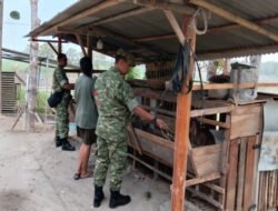 Jaga Lingkungan Tetap Asri, Babinsa Ingatkan Peternak Kambing Antisipasi Bau Kandang