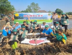 Babinsa Dampingi Petani Banjarsari, Tanam Padi Modern dengan Teknologi Drumseeder