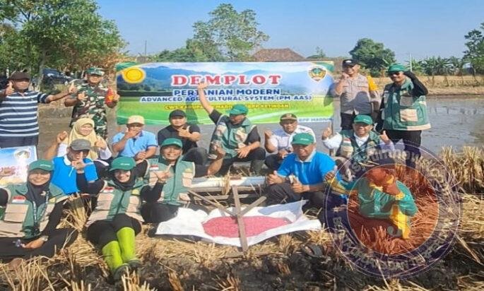 Babinsa Dampingi Petani Banjarsari, Tanam Padi Modern dengan Teknologi Drumseeder