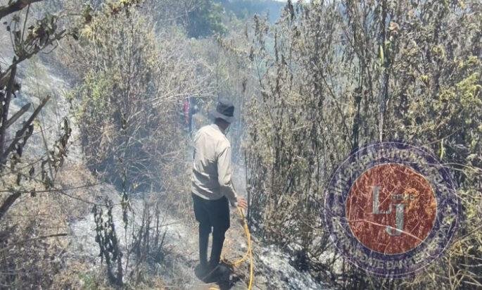 Polres Lumajang dan Tim Gabungan Berjibaku Taklukkan Karhutla di TNBTS